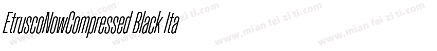 EtruscoNowCompressed Black Italic字体转换